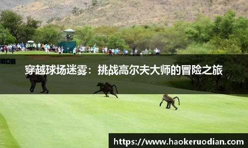 ob电竞平台